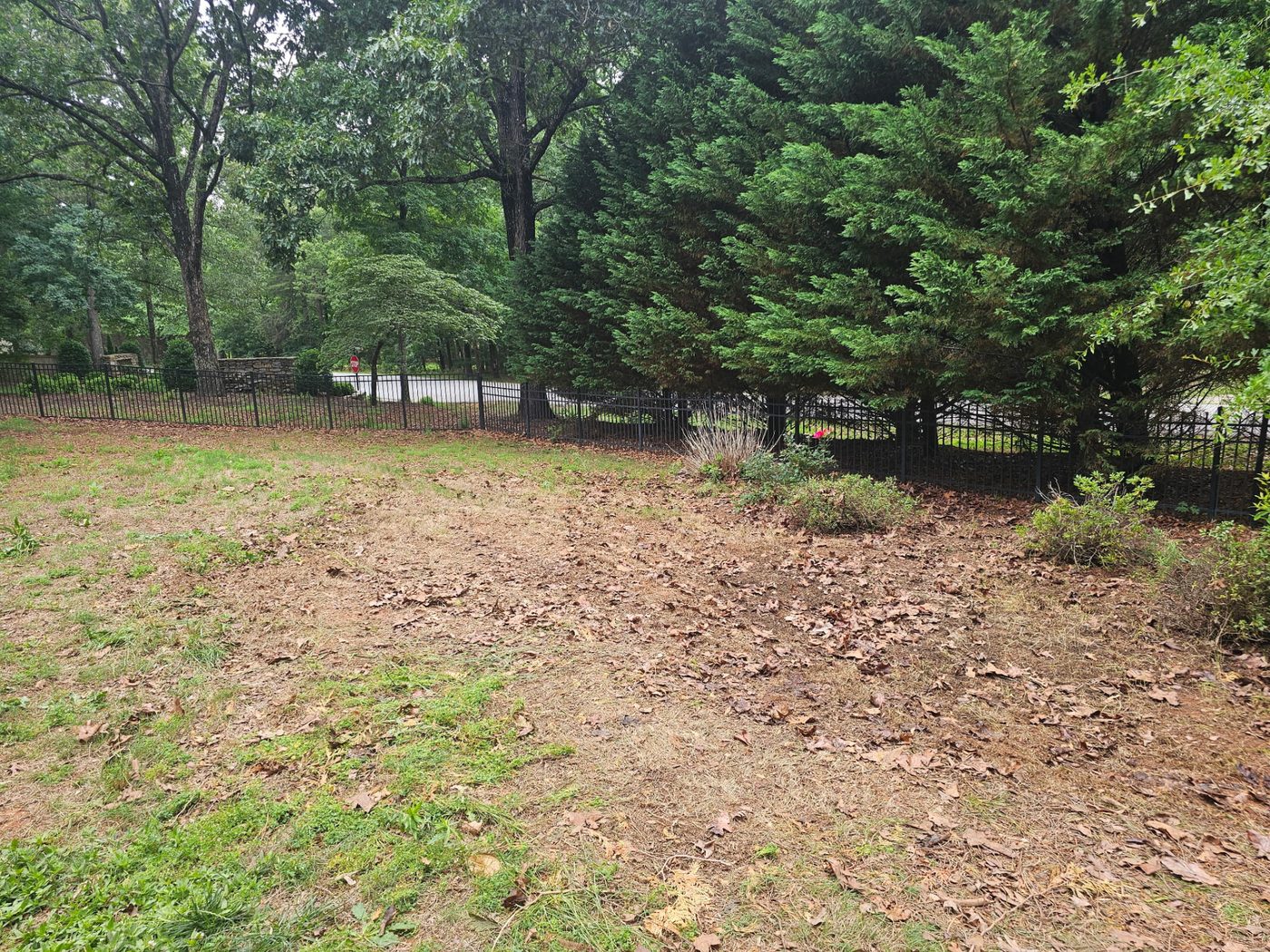 Storm Brush & Yard Debris Haul — after